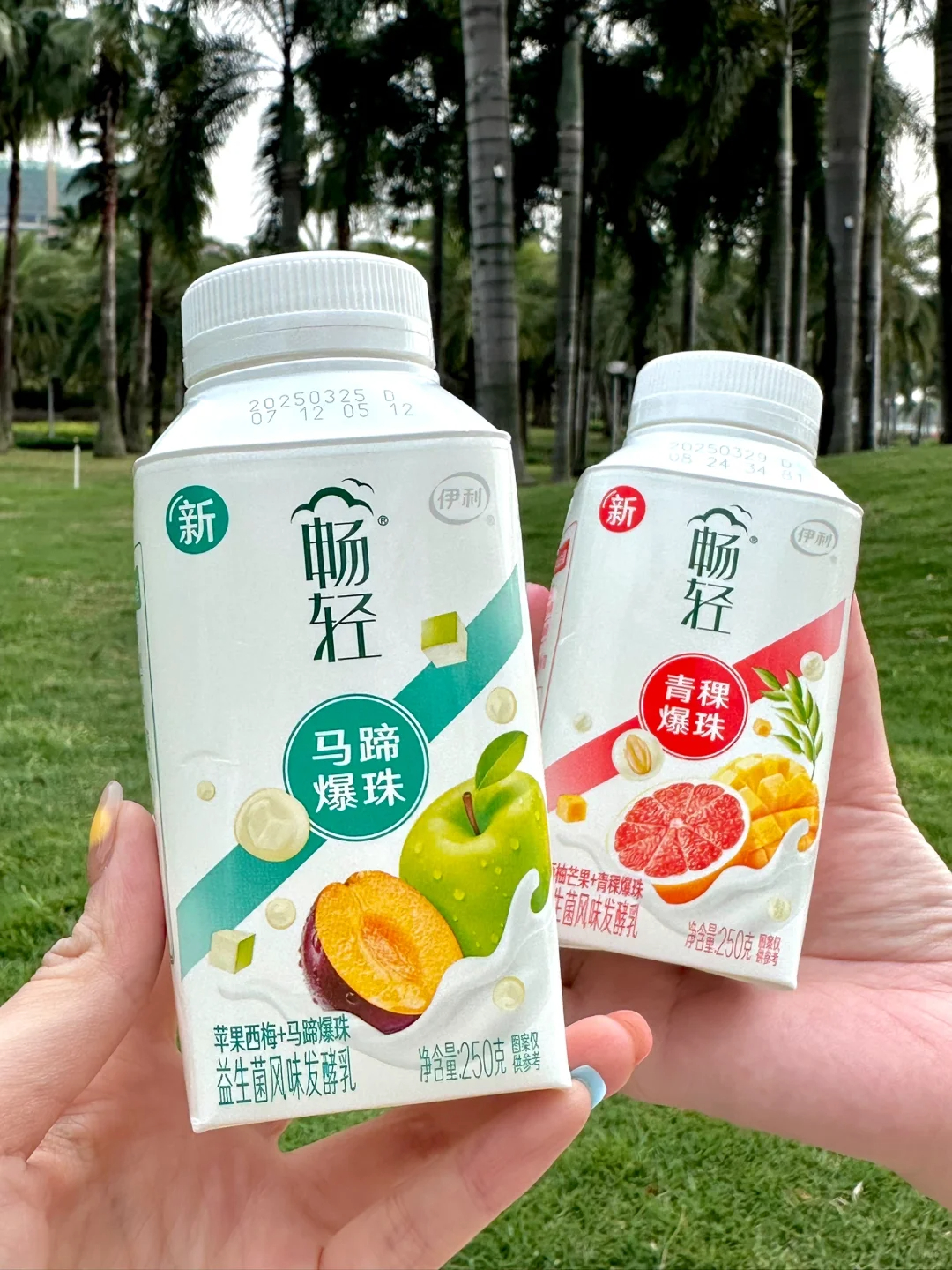 伊利畅轻酸奶12瓶 任选3件 33.9元 - 86线报