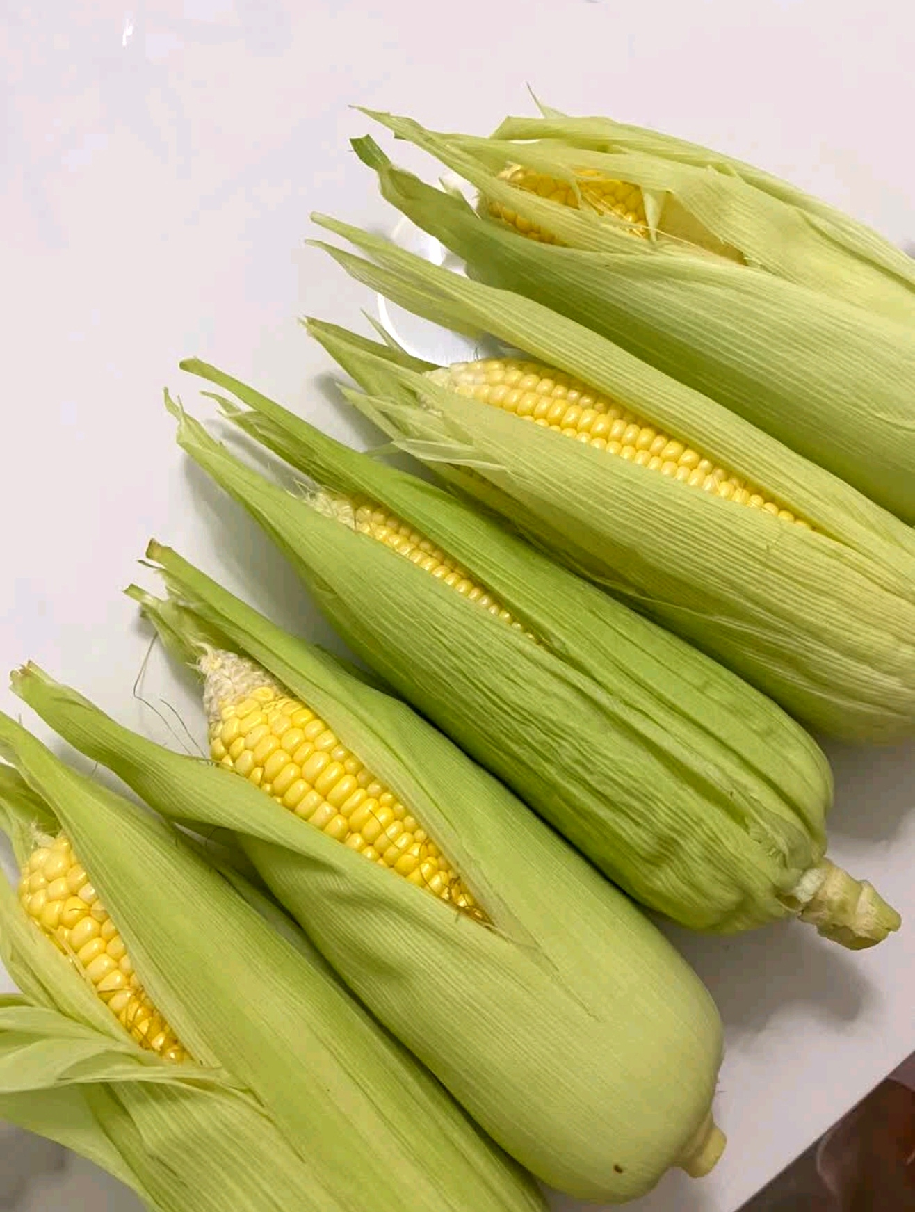佳农宝菜山东水果玉米4.6斤 13.89元 - 86线报 佳农宝菜山东水果玉米4.6斤 13.89元 - 86线报