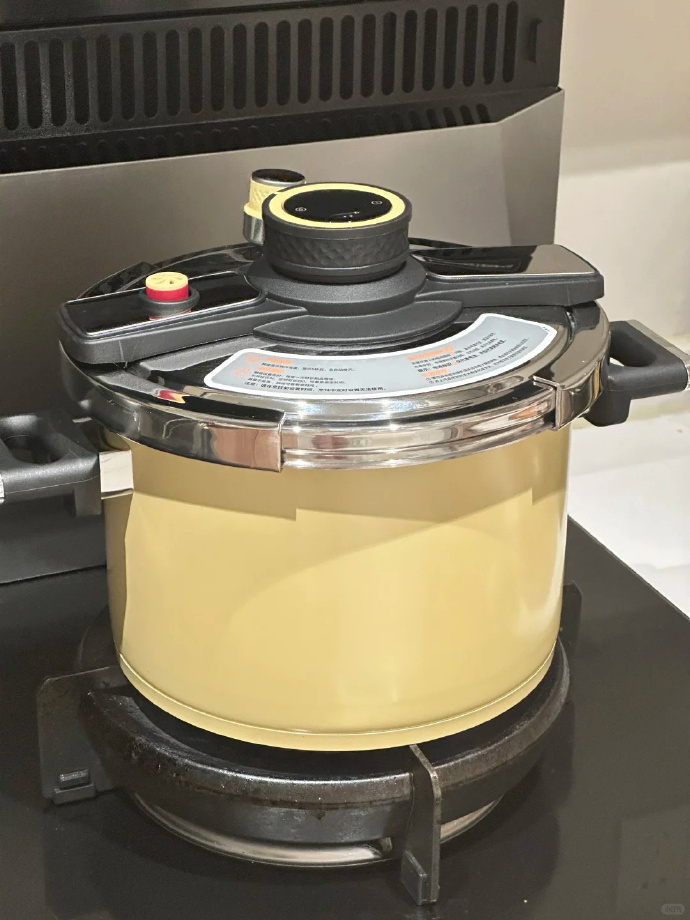 德世朗钛珐琅搪瓷压力锅6L 107元 - 86线报