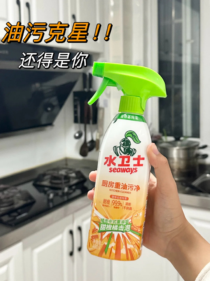 水卫士油污净1瓶+2袋送百洁布2块 13元 - 86线报