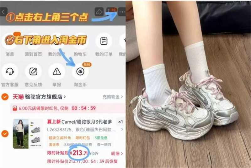 骆驼银月3代老爹鞋 203元 - 86线报