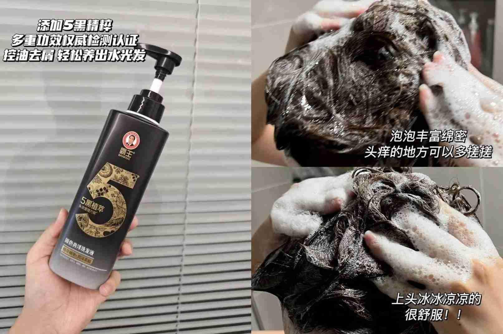 霸王五黑洗发液500ml 23.5元 - 86线报