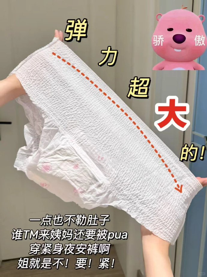 洁婷安睡裤含加赠共25条 26.9元 - 86线报