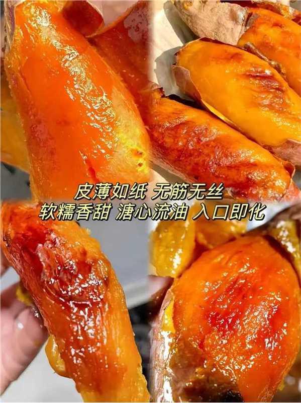 山东烟薯25号9斤-中果 16.7元 - 86线报