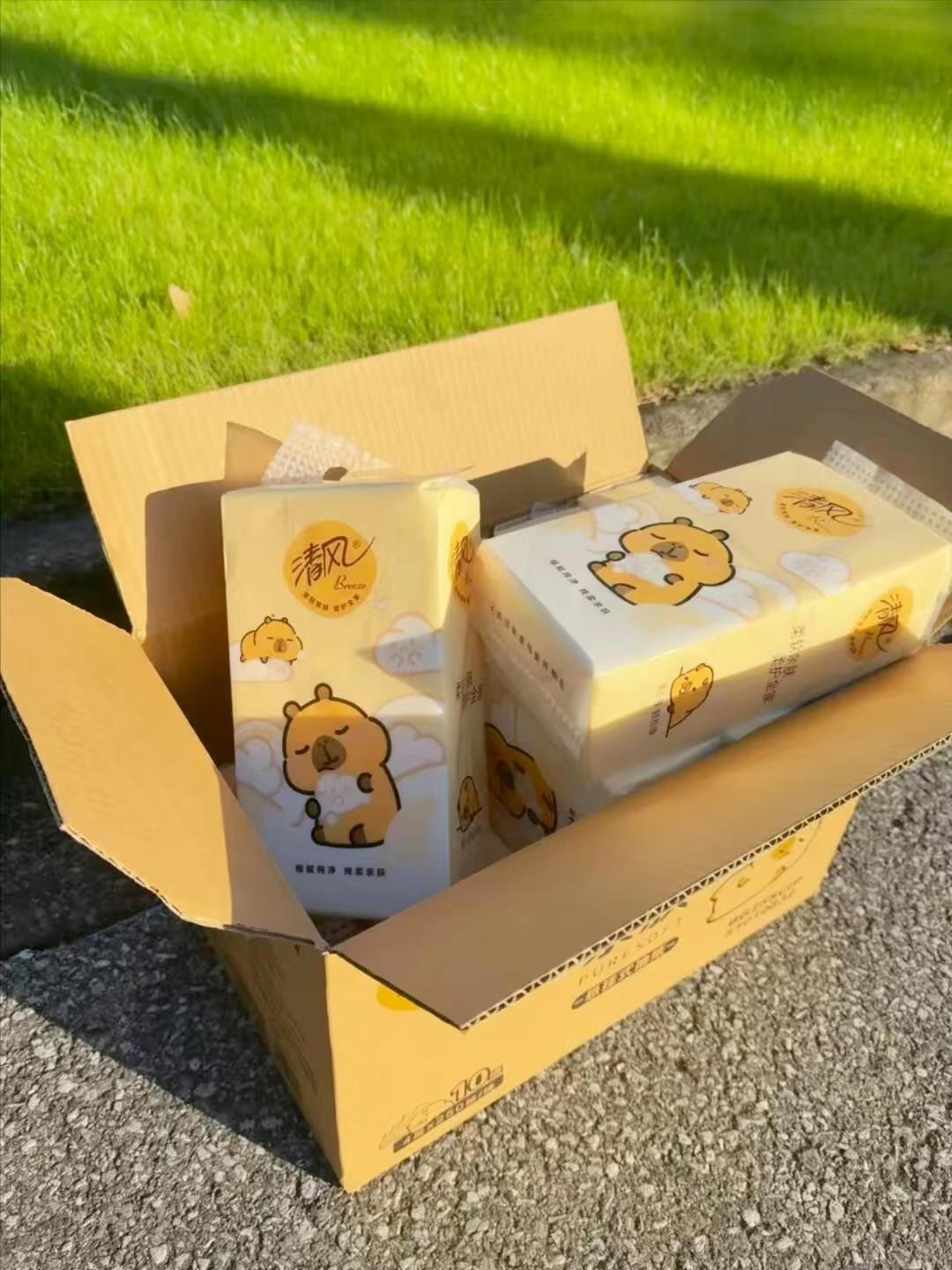 清风卡皮巴拉悬挂式抽纸20包 24元 - 86线报