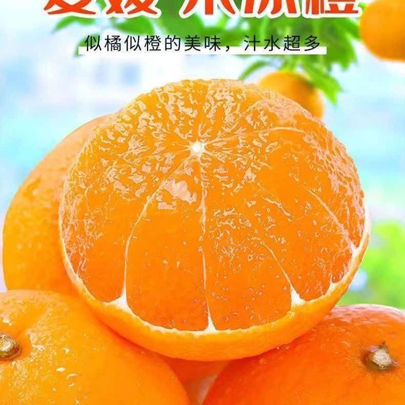 四川眉山爱媛38号果冻橙带箱5斤 9.9元 - 线报酷