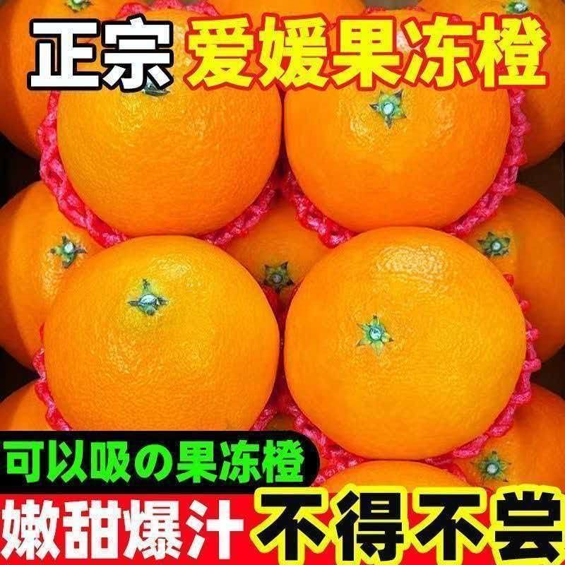 四川眉山爱媛38号果冻橙带箱5斤 9.9元 - 线报酷
