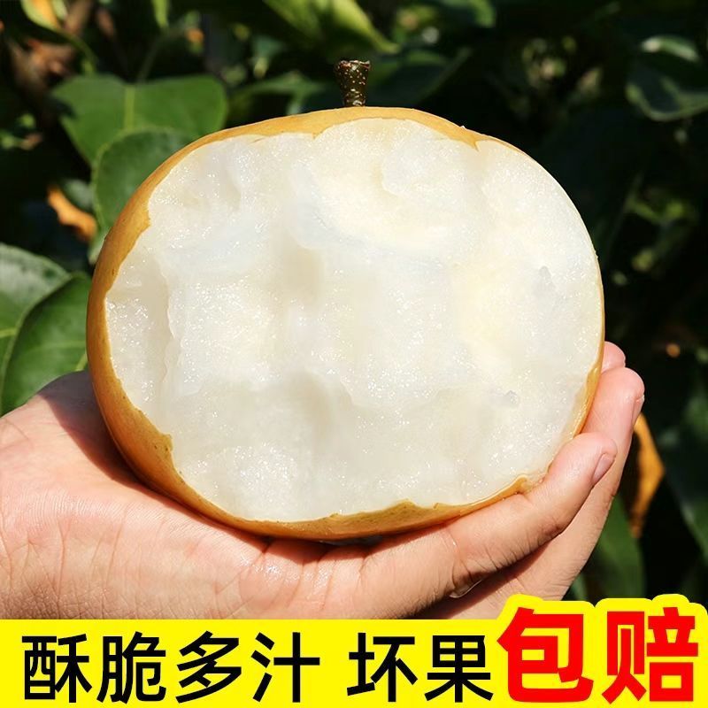 秋月梨带箱4斤 6.37元 - 线报酷