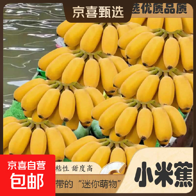18.95 京喜.广西小米蕉净重8斤 折2.37元/斤 非plus会员也包邮 - 86线报
