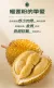 线报图片