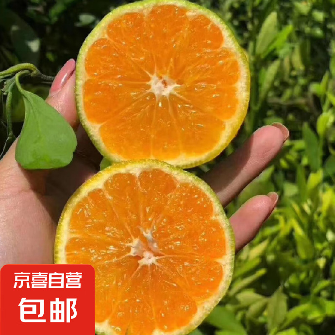 京喜云南蜜桔青皮橘子8斤单果55mm+ 14.03元 - 86线报