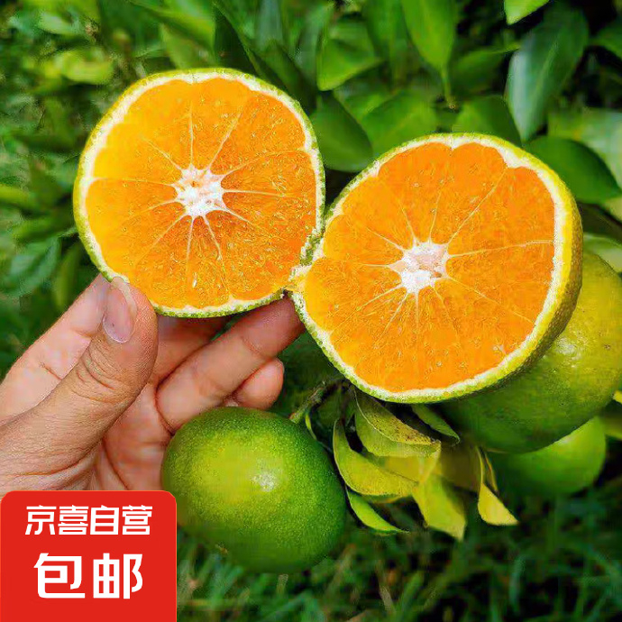 京喜云南蜜桔青皮橘子8斤单果55mm+ 14.03元 - 86线报