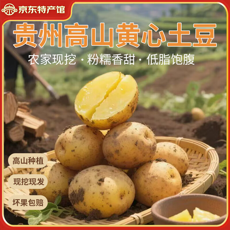 播州鲜黄皮土豆净重5斤 4.90元 - 86线报