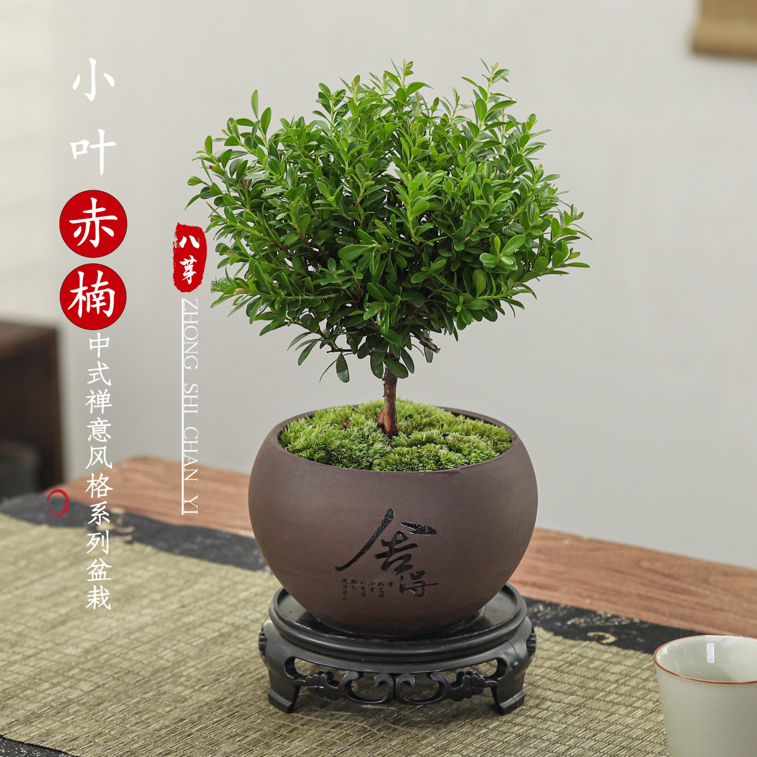 八芽小叶赤楠盆景摆件 8.36元 - 86线报