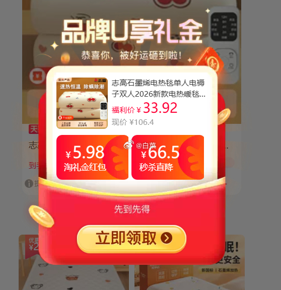 志高单人单控电热毯150*70cm 25.2元 - 86线报