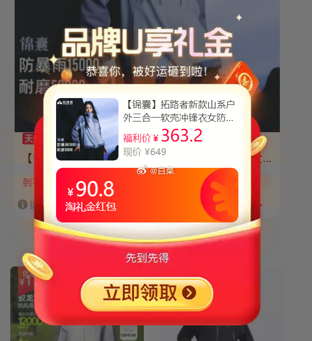 拓路者锦囊山系户外三合一软壳冲锋衣 402.9元 - 86线报