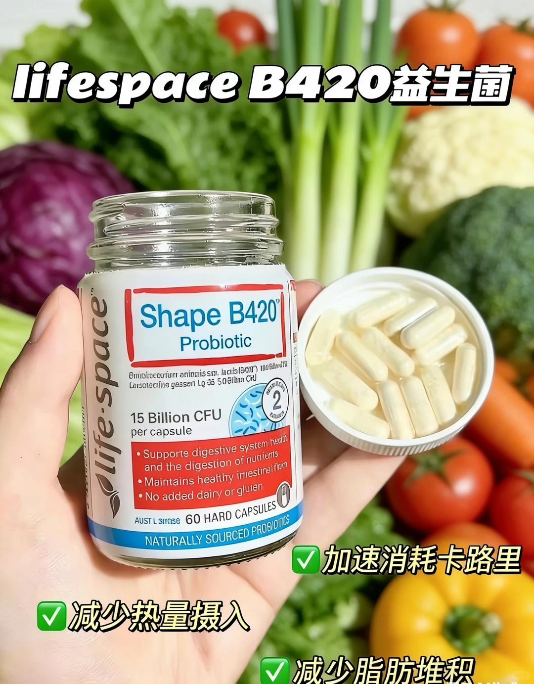 Lifespace-B420益生菌 99元 - 86线报
