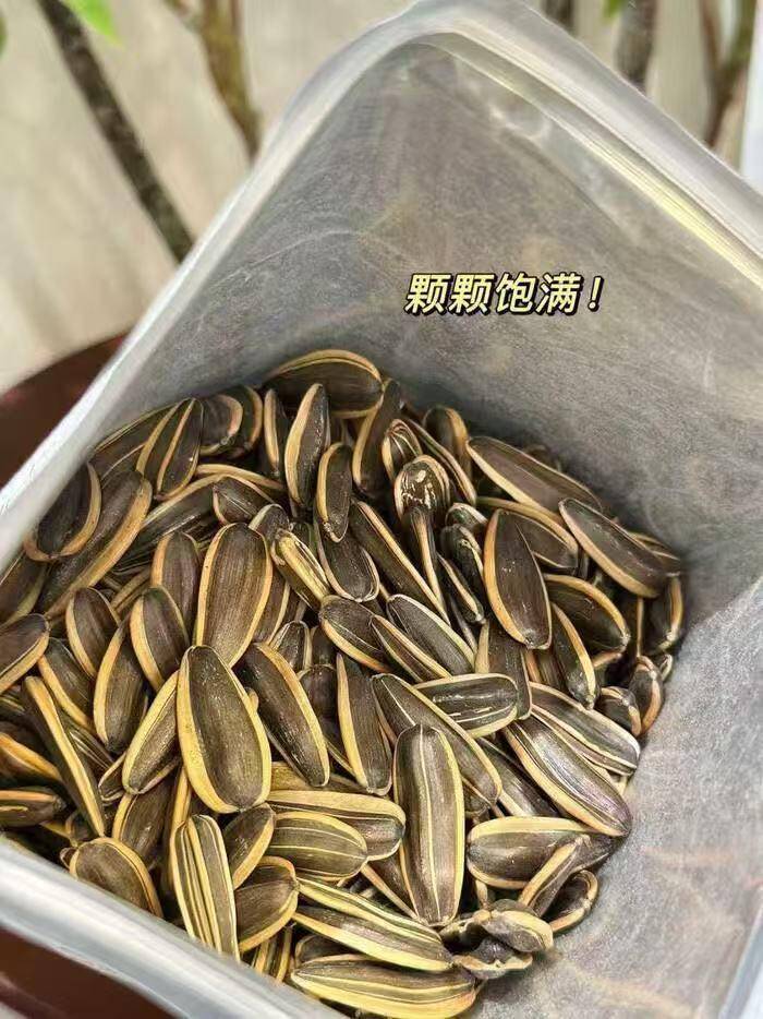 纤手瓜子500克×2袋 11.9元 - 线报酷 纤手瓜子500克×2袋 11.9元 - 线报酷