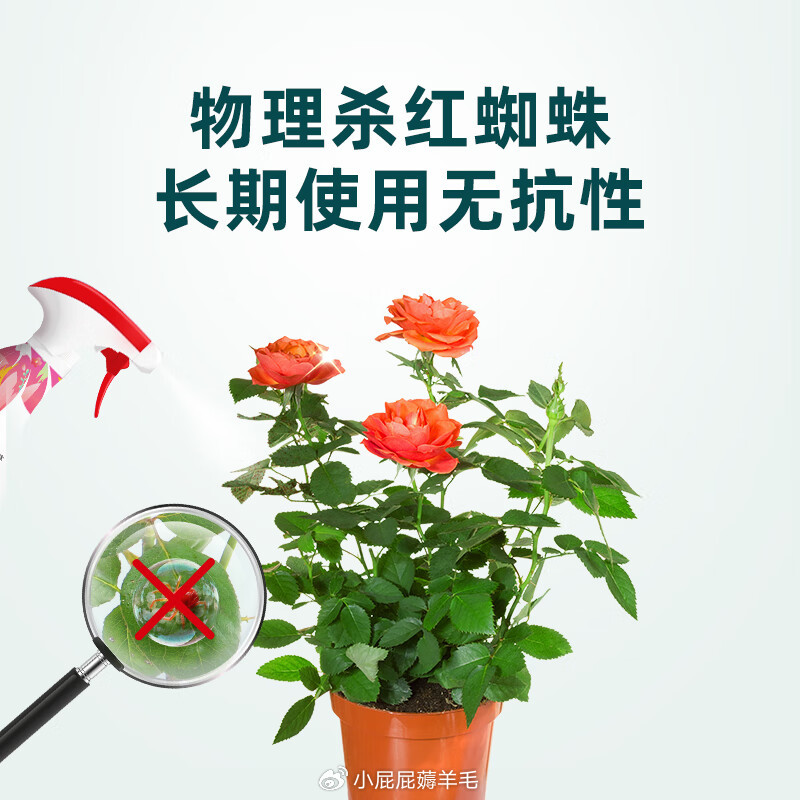 千百季免稀释直喷矿物油清园剂园艺月季花卉盆栽蚧壳虫黄红蜘蛛杀虫花药 23.5元 - 86线报