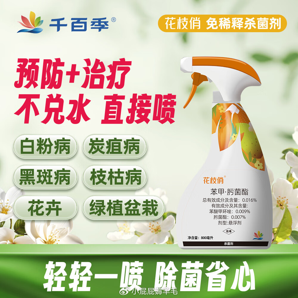 千百季花枝俏杀菌剂黑斑炭疽白粉病花卉盆栽园艺免稀释直喷型杀菌花药剂 49.8元 - 86线报