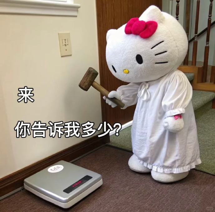 米家app体栺秤 25.49元 - 86线报