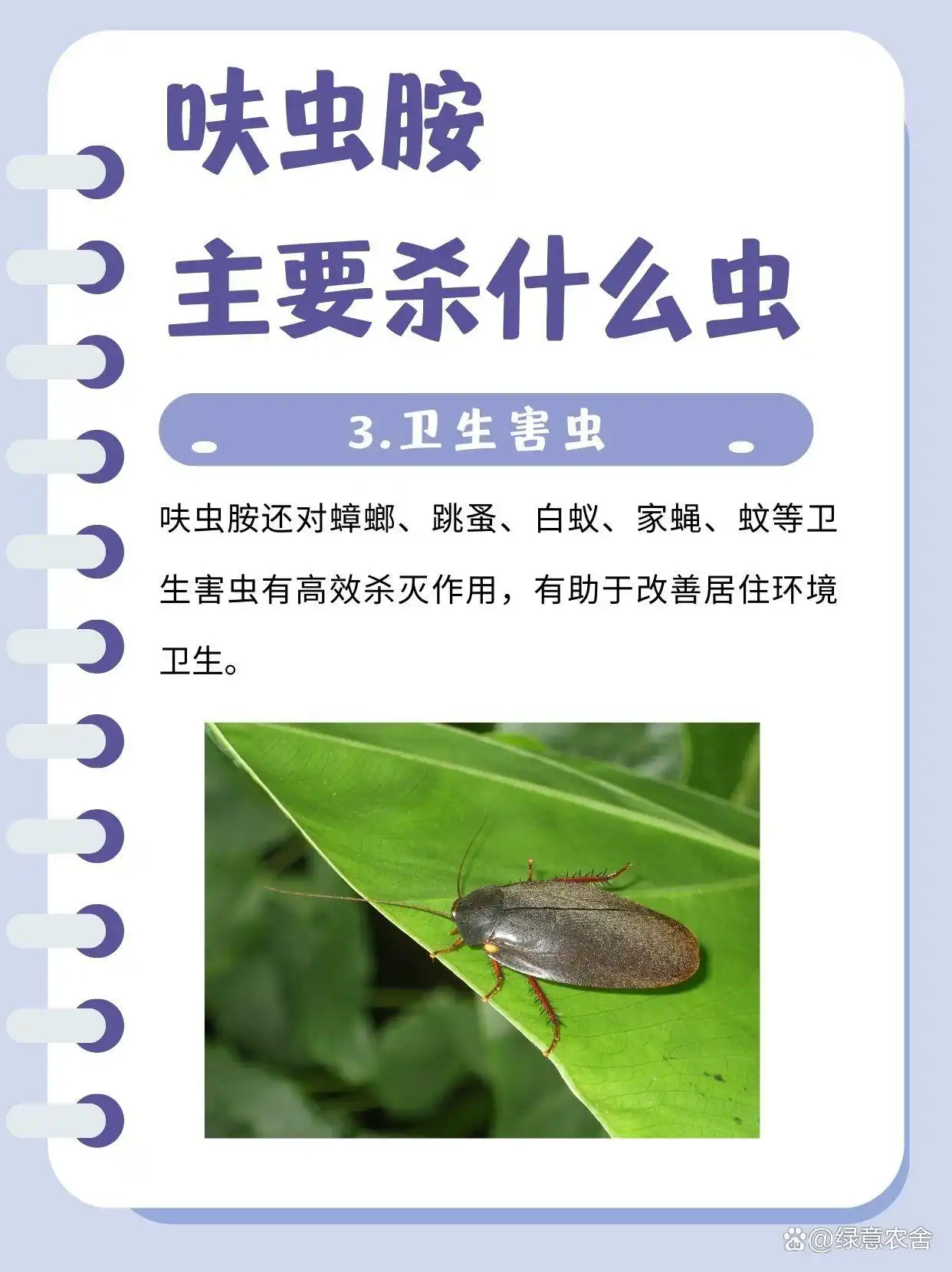 中三清呋虫胺杀虫剂2瓶+1喷 15.9元 - 86线报