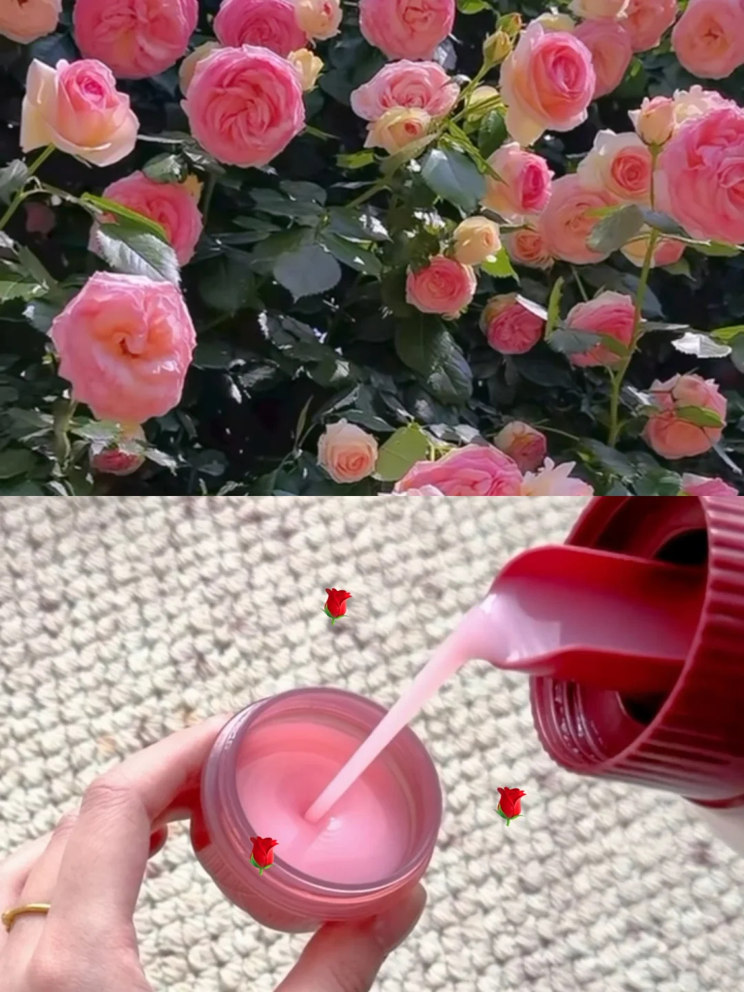 立白天然茶树油+大师香氛洗衣液/柔顺剂组合15斤 76.9元 - 86线报 立白天然茶树油+大师香氛洗衣液/柔顺剂组合15斤 76.9元 - 86线报