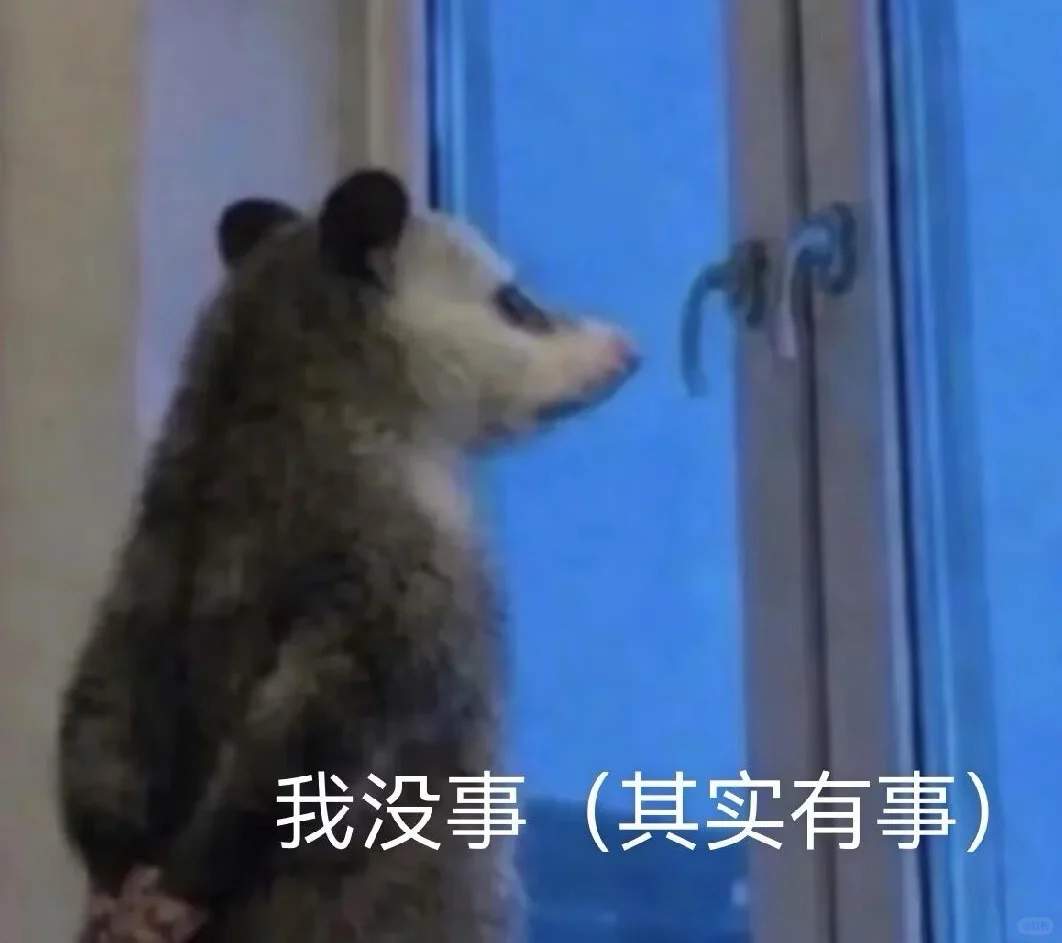 Nars超方瓶+Nars腮红+Nars大白饼+Nars遮瑕 282-289元 - 86线报