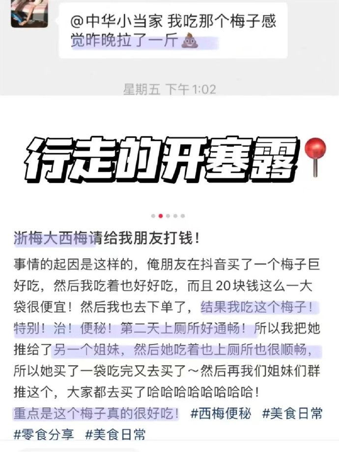 浙梅西梅干独立包装500g 15.9元 - 线报酷