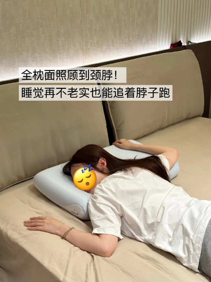 高端酒店同款慢回弹枕头低枕42x70x6cm 29.9元 - 86线报