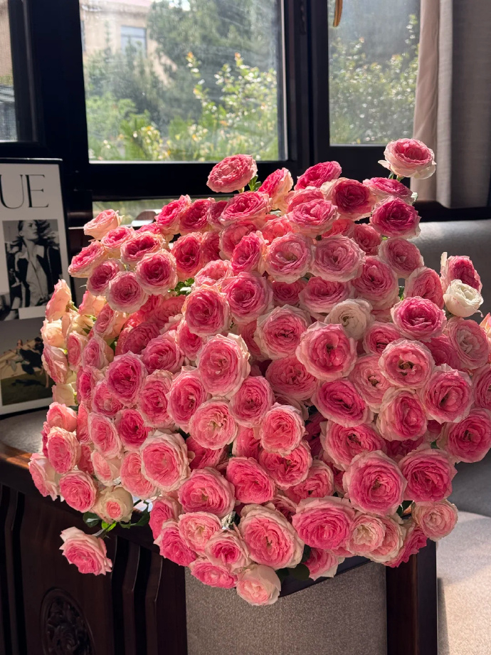 京东鲜花随机色玫瑰鲜花30枝 18.8元 - 86线报 京东鲜花随机色玫瑰鲜花30枝 18.8元 - 86线报