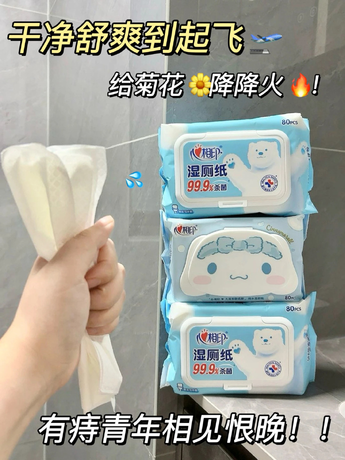 心相印湿厕纸 5元 - 清风线报