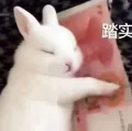 素材图片