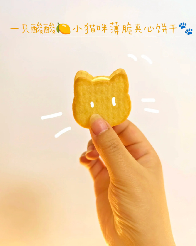 aoligei黄油猫酪饼干2盒 赠双面帆布包 17.6元 - 清风线报
