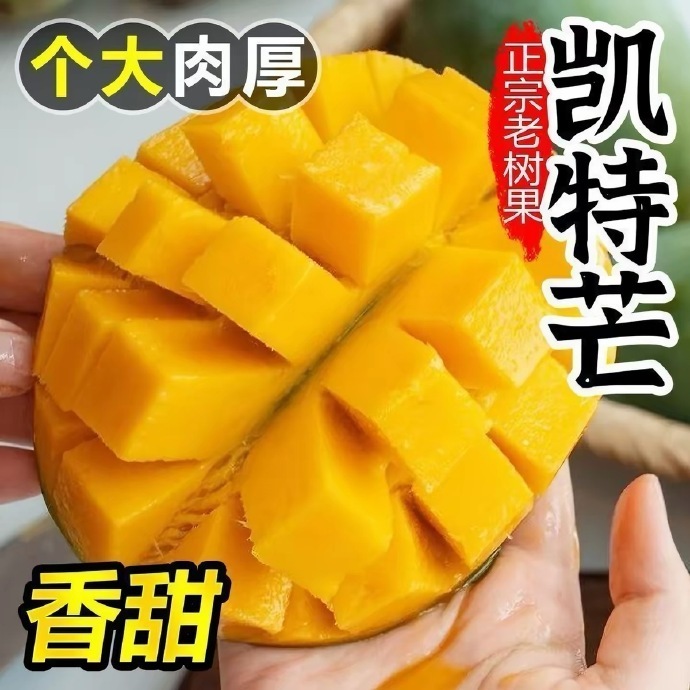 正宗攀枝花凯特大芒果4.5斤 9.89元 - 86线报 正宗攀枝花凯特大芒果4.5斤 9.89元 - 86线报