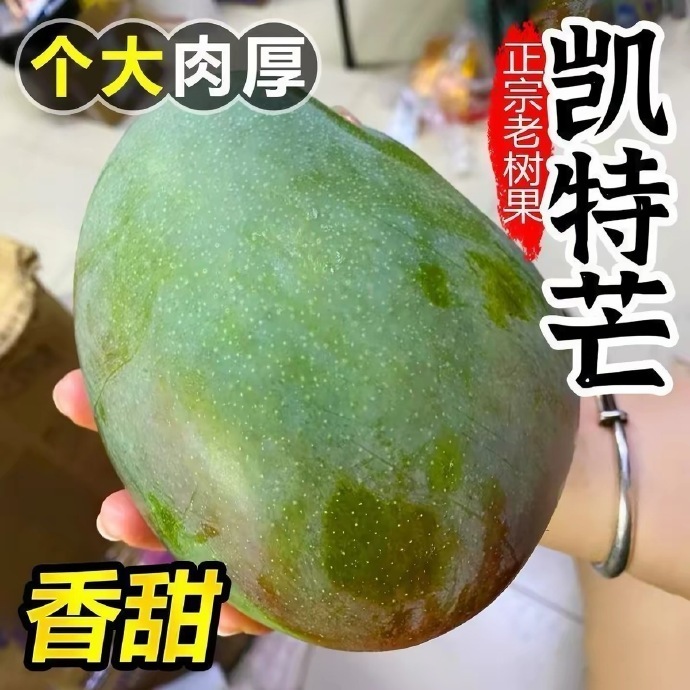 正宗攀枝花凯特大芒果4.5斤 9.89元 - 86线报