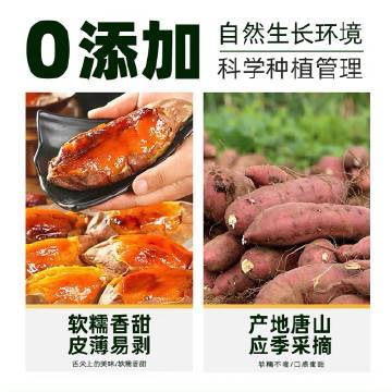 猫超臻选烟薯25号5斤 21.4元 - 线报酷