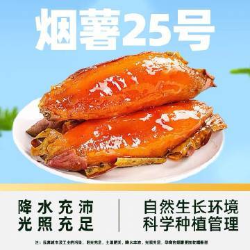 猫超臻选烟薯25号5斤 21.4元 - 线报酷