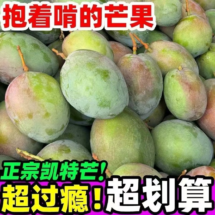 正宗攀枝花凯特大芒果4.5斤 9.05元 - 86线报