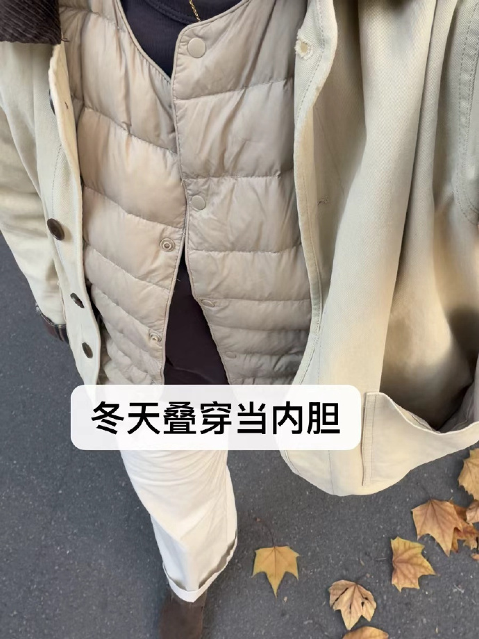 雪中飞女式羽绒马甲(升级款) 59元 - 美泡泡