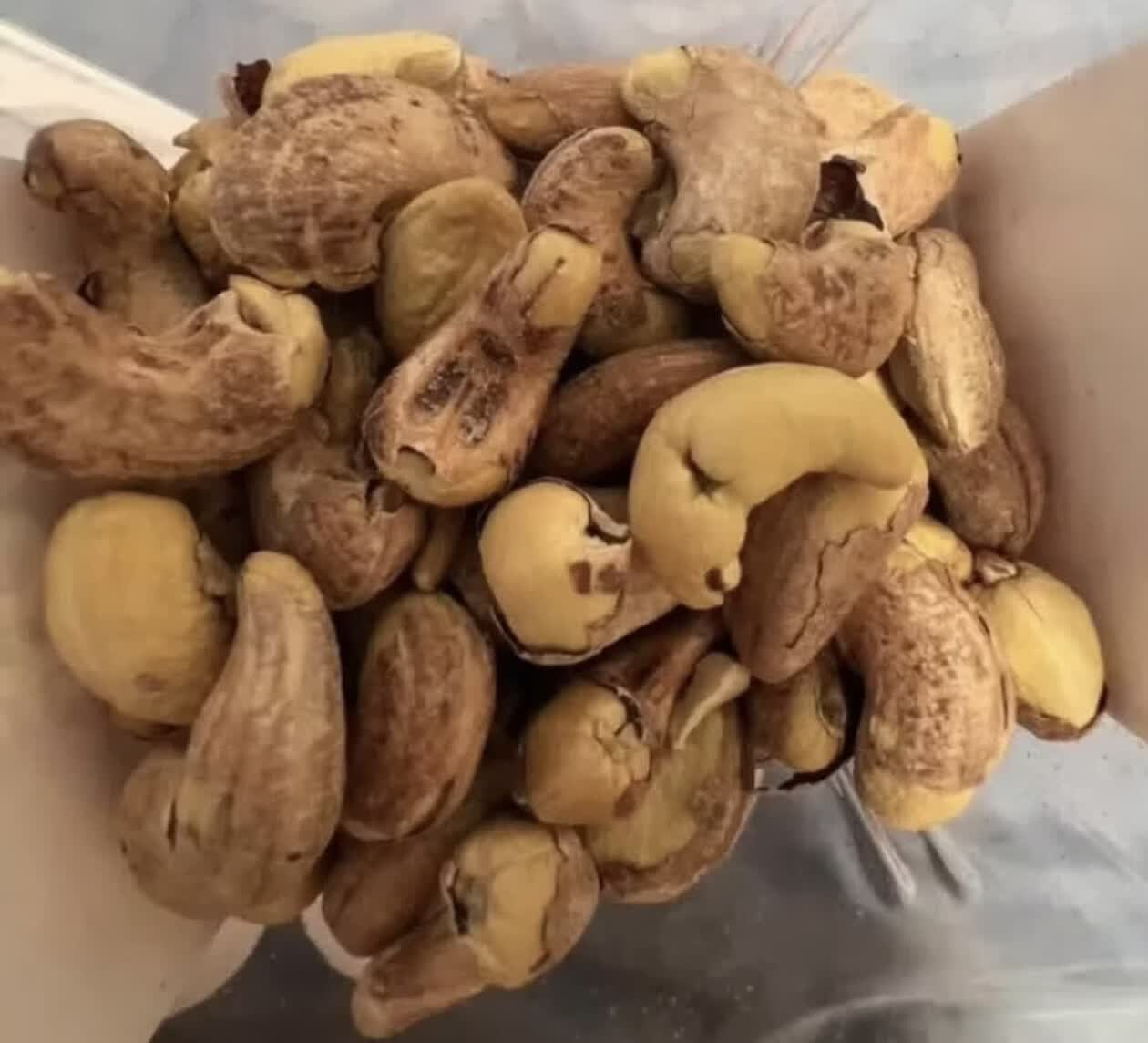 百草味紫皮腰果500g整罐 29.9元 - 86线报 百草味紫皮腰果500g整罐 29.9元 - 86线报