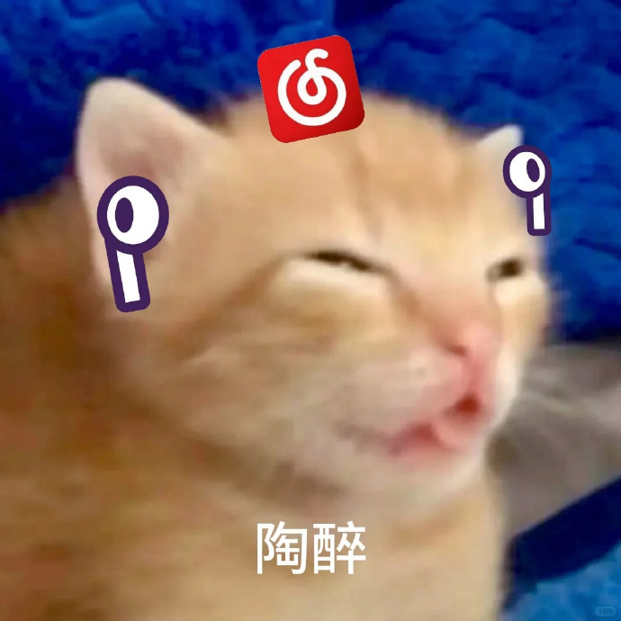 网易云黑胶会员1个月月卡 9.9元,网易云黑胶会员12个月年卡 69元 - 86线报 网易云黑胶会员1个月月卡 9.9元,网易云黑胶会员12个月年卡 69元 - 86线报