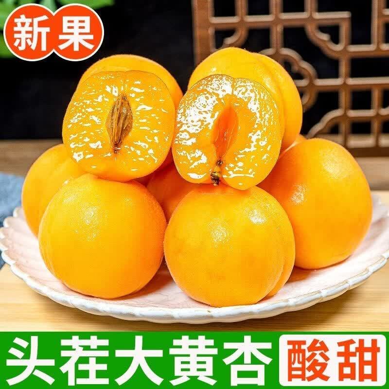 正鲜季陕西大黄杏5斤净4.8-4.9斤 17.9元 - 86线报