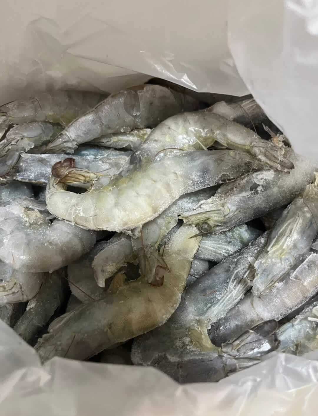 北海湾青岛大虾气冻大虾3斤净重 56.9元 - 86线报 北海湾青岛大虾气冻大虾3斤净重 56.9元 - 86线报