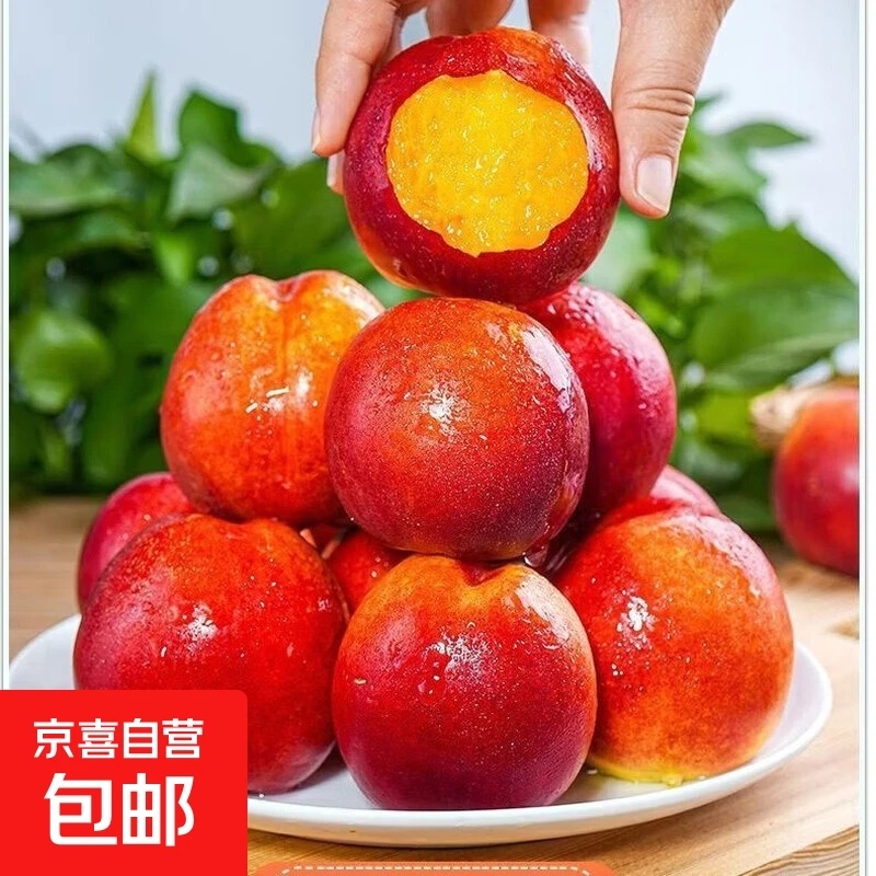 京世泽山西红皮黄肉麻点油桃净重4.5斤单果100g+ 13.88元 - 86线报