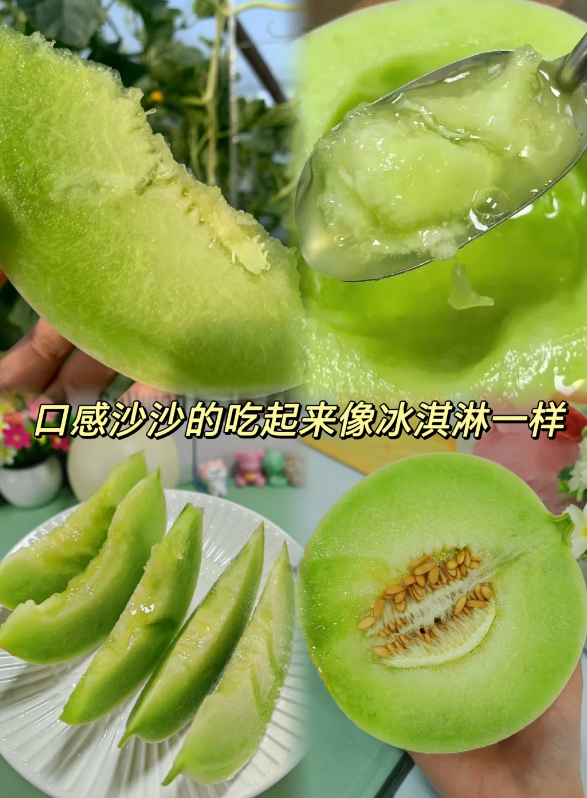14.8元 玉菇甜瓜 净重4.5-5斤 2-3粒装 源头直发 绵密冰爽 - 86线报 14.8元 玉菇甜瓜 净重4.5-5斤 2-3粒装 源头直发 绵密冰爽 - 86线报