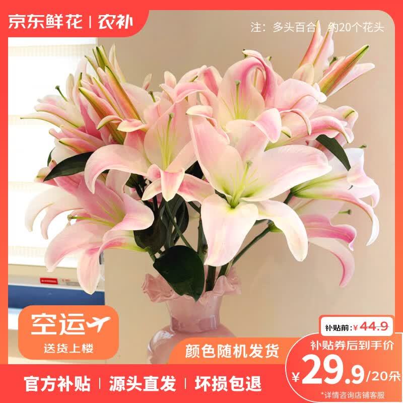 京东鲜花随机色百合组合20朵 29.9元 - 86线报 京东鲜花随机色百合组合20朵 29.9元 - 86线报
