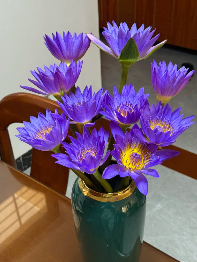 京东鲜花随机色玫瑰30支 18.8元，京东鲜花10枝紫色睡莲 15.9元 - 86线报