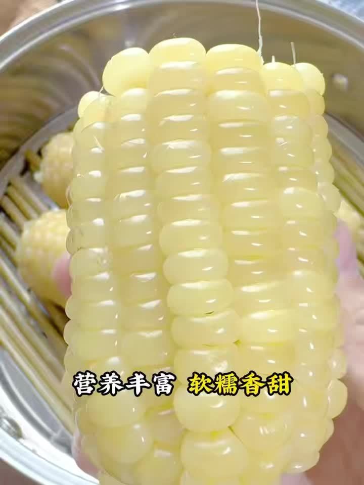佟创东北白糯玉米均重200g*10根 17.9元 - 线报酷