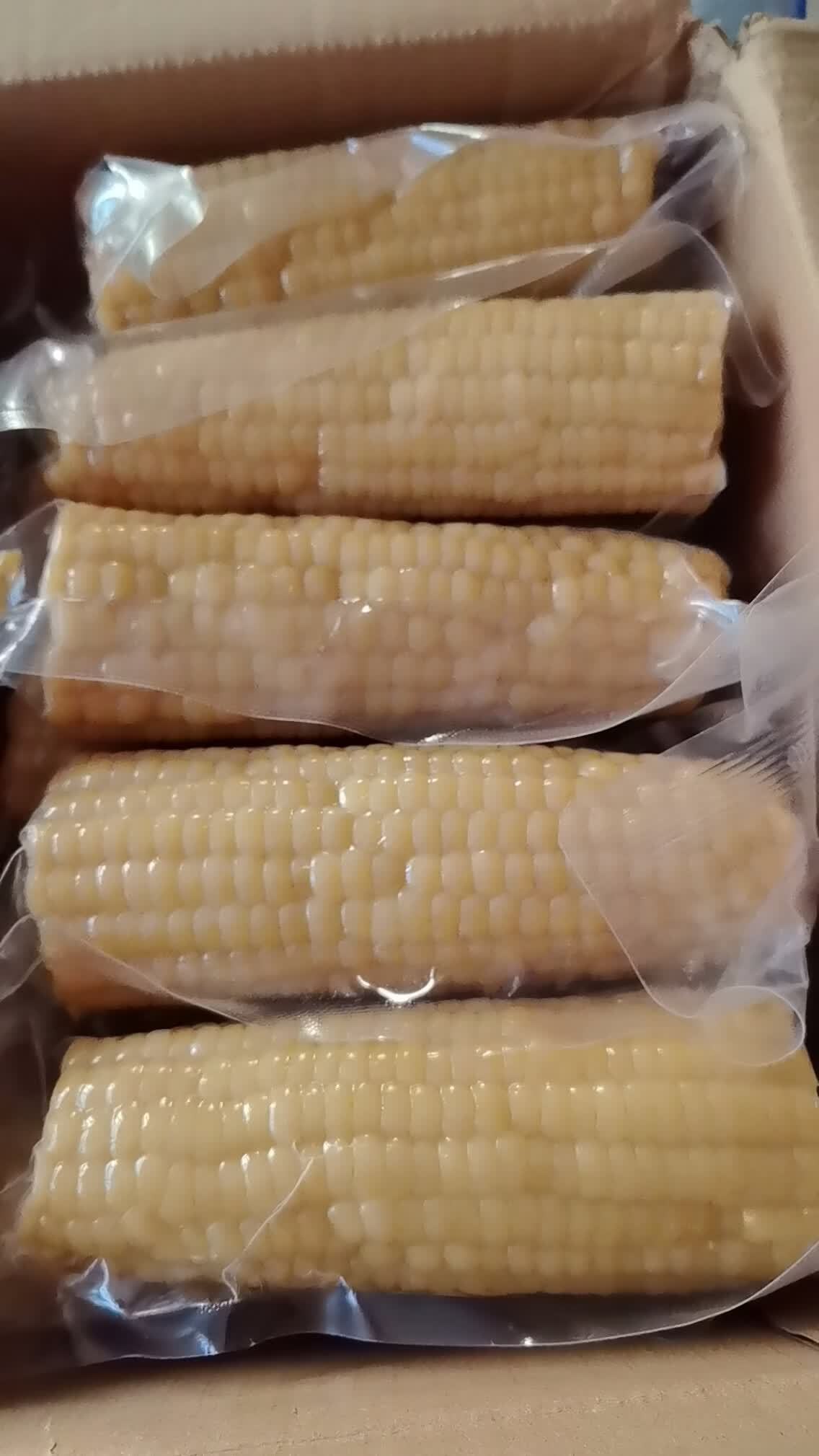 佟创东北白糯玉米均重200g*10根 17.9元 - 线报酷